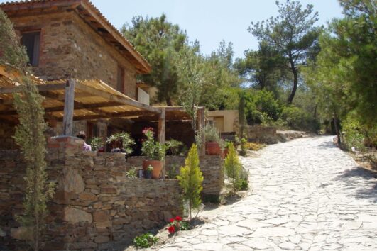 The Ancient City Of Ephesus & Old Greek Village Tour To Sirince